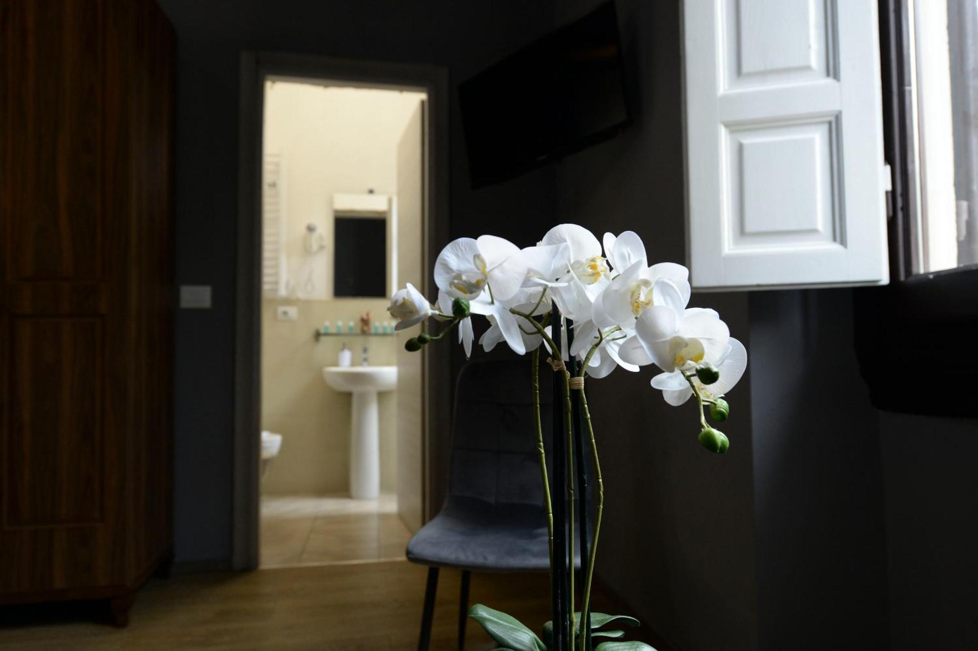 Palazzo Oliveto Bed & Breakfast *